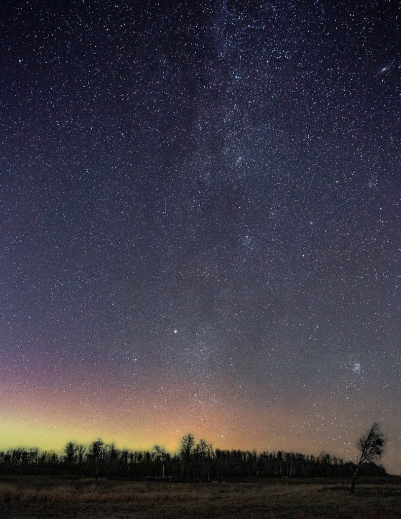 The Bison Loop under the Milky Way