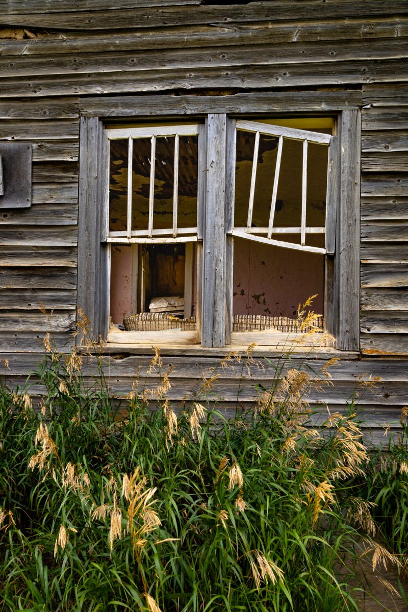 House on the Hill, Andrew Alberta